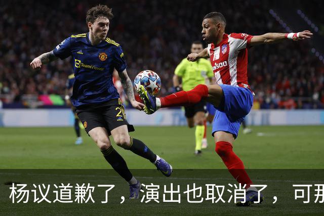 杨议道歉了，演出也取消了，可那句“误会”什么都没解决。