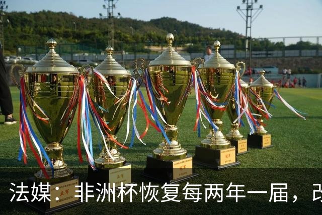 法媒：非洲杯恢复每两年一届，改制计划因收入问题搁浅