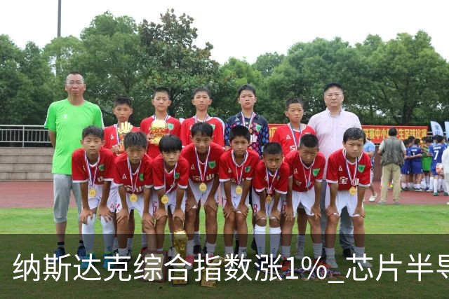 纳斯达克综合指数涨1% 芯片半导体股票涨幅明显