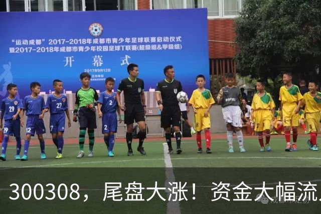 300308，尾盘大涨！资金大幅流入